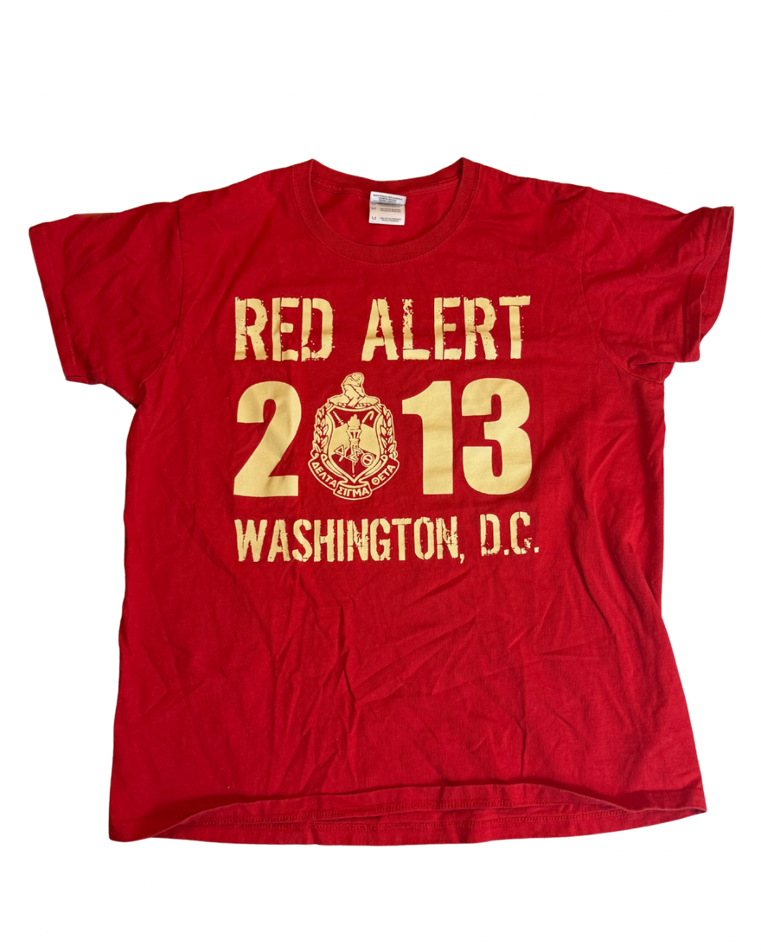 Delta Sigma Theta "Red Alert 2013" Washington D.C. Tee
