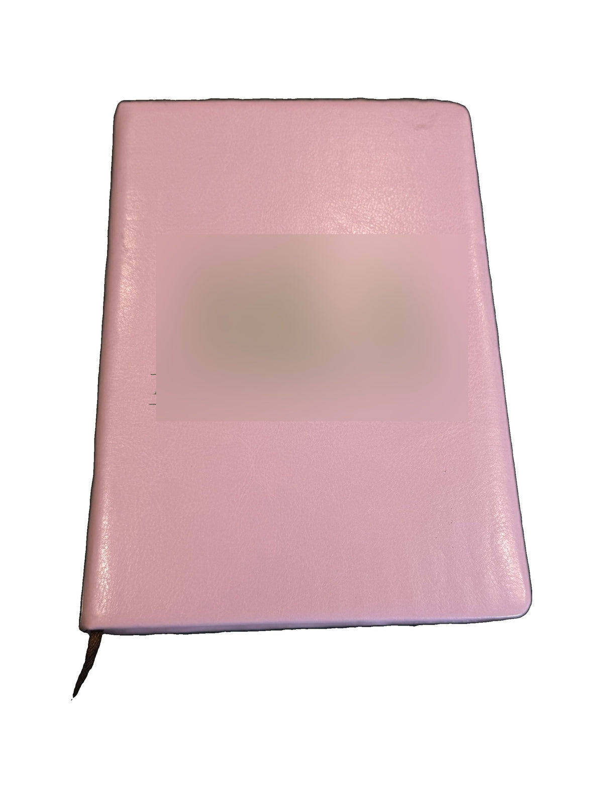 Ivy Journal – Pink