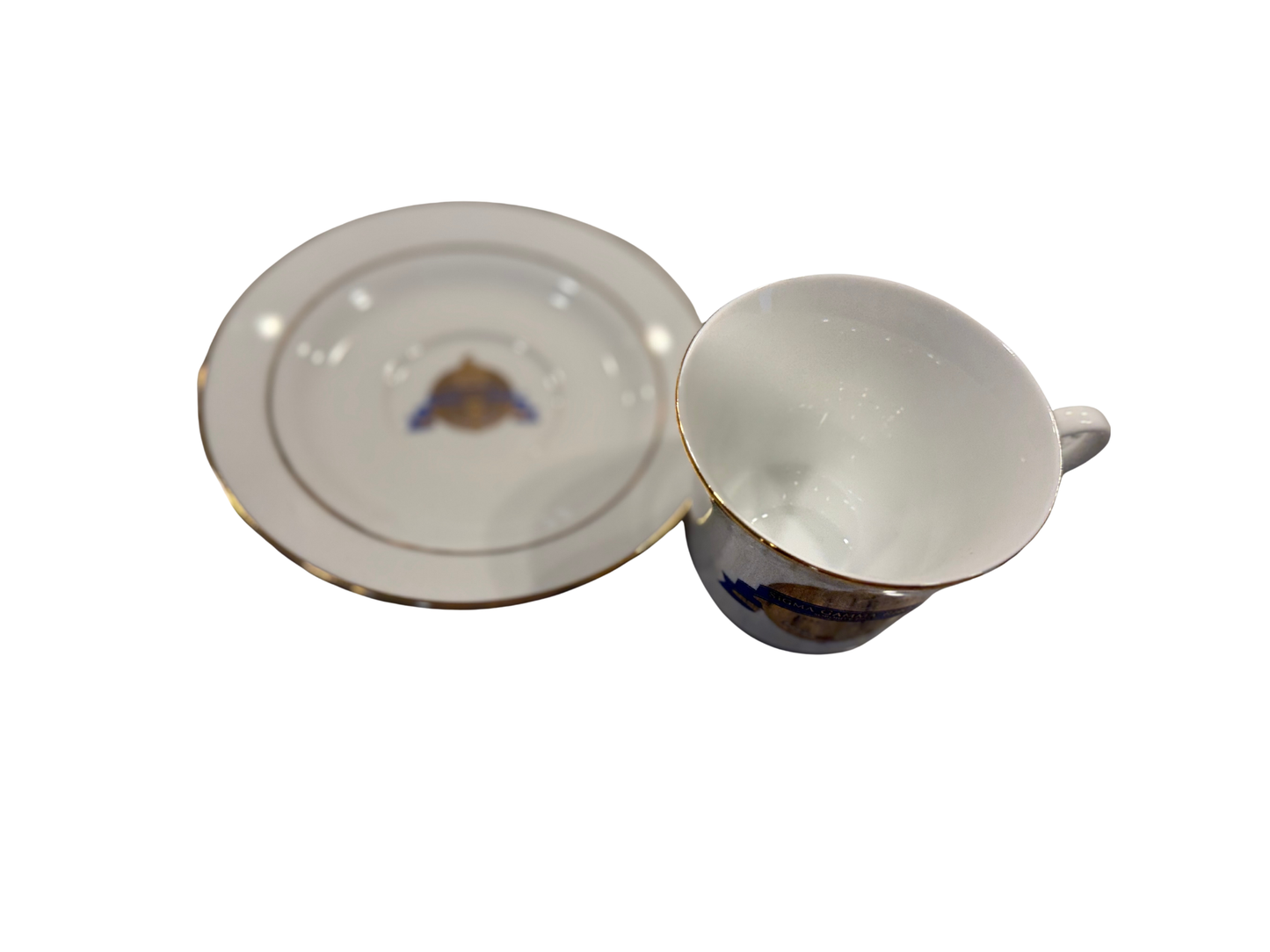 Sigma Gamma Rho Centennial 100 Pin Collection 2022