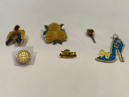 Sigma Gamma Rho Pin Collection Set | 6 Pieces